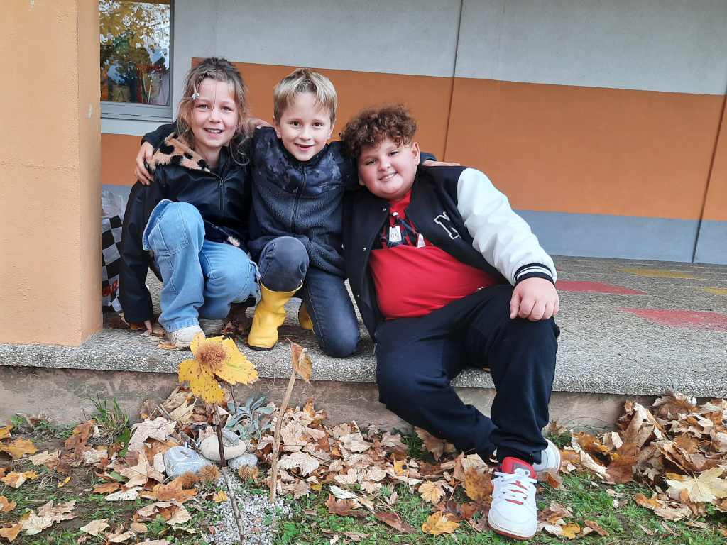 Workshop Biodiversität 3a und 3b 